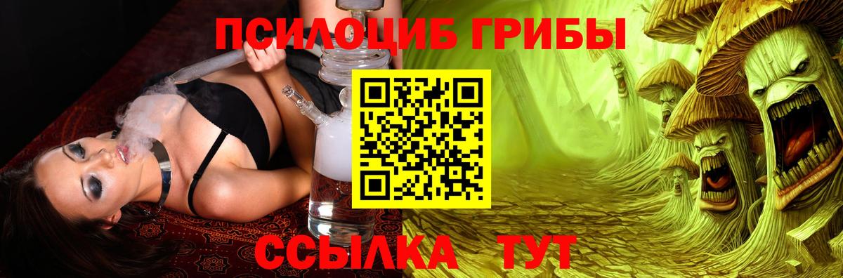 Псилоцибиновые грибы Psilocybine cubensis  Галлюциногенные грибы Psilocybe  Усть-Джегута  Вход с VPN 